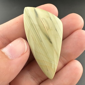 Blue Mountain Jasper - Polished Cabochon - Oregon