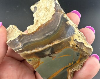 ブルー マウンテン ジャスパー - 球状 - 粗い宝石研磨片側 - 未研磨