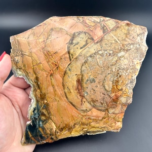 Morrisonite Jasper - Polished Slab - Oregon