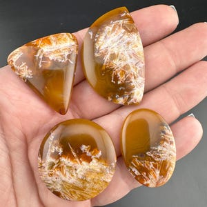 Condor Agate Cabochon Lot: Sagenite from Patagonia, Argentina