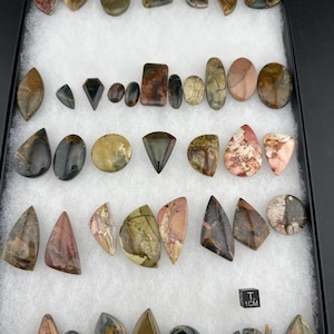 Mixed jasper - Wholesale Cabochon Lot morrisonite Jasper 43 cabs