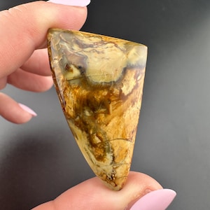 Morrisonite Jasper - Cabochon - Owyhee Canyon, Eastern Oregon
