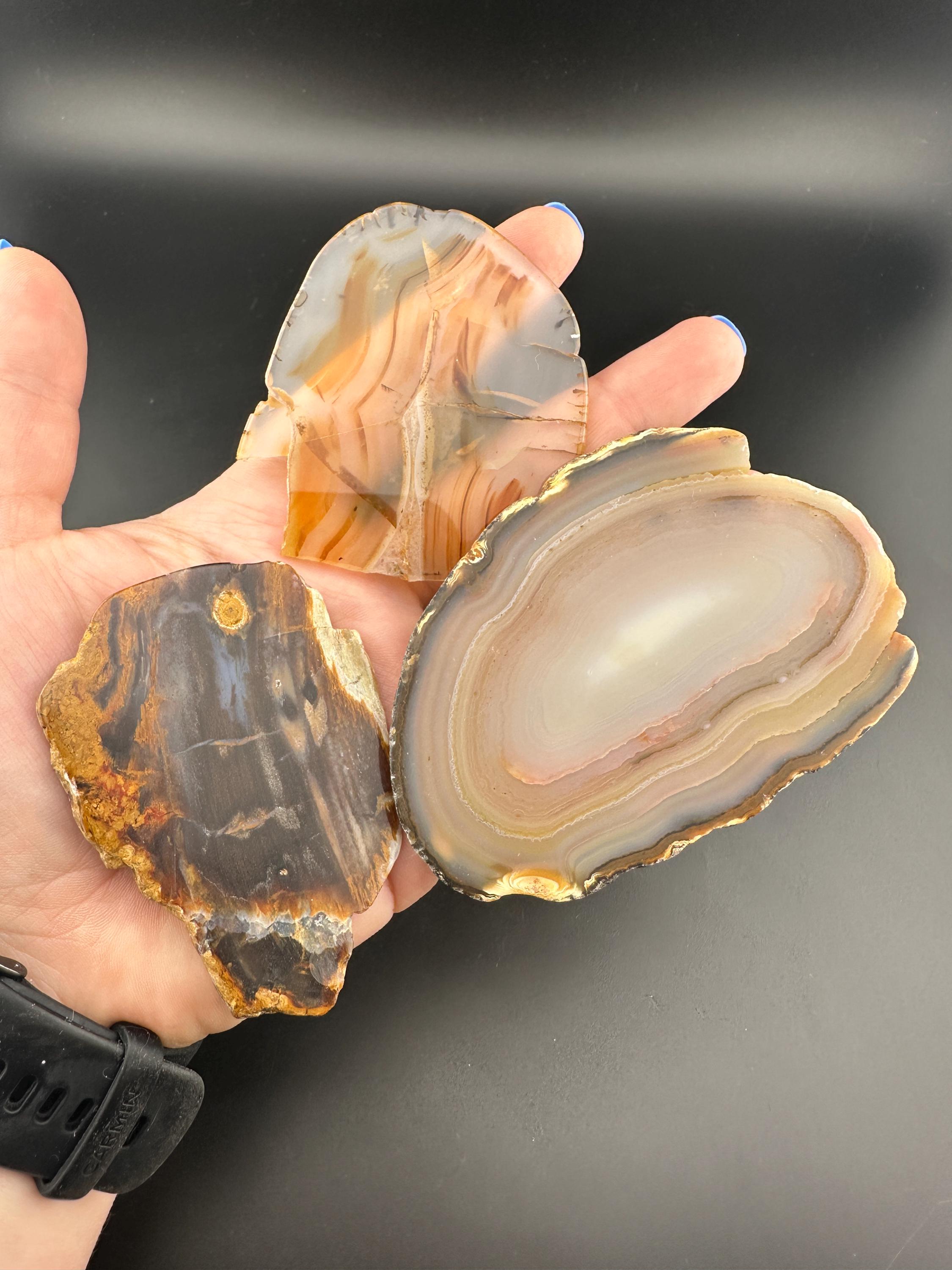 Lapidary Slab Lot of 3 - Montana Agate Polished - Petrified Wood - Brazilian Banded Agate Unpolished