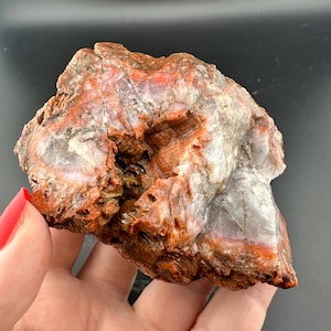 Colonial Coral Fossil - Hexagonalarid Replaced by Red Jasper - Grahams County - Arizona