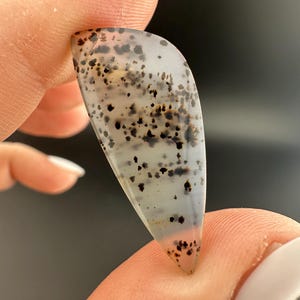 Montana Agate - Freeform Cabochon - Montana