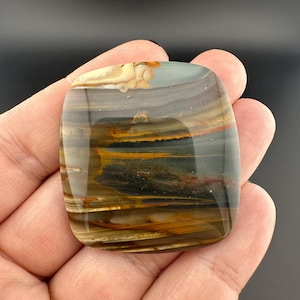 Blue Mountain Jasper - Cabochon - Oregon