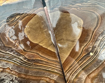 Biggs Picture Jasper - Rough Lapidary Butterfly Slab Pair - Unpolished - Biggs Junction, Oregon