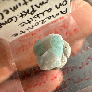 May include: A small, rough-hewn mineral specimen of Amazonite on albite. The Amazonite has a pale blue-green color, and the albite is a light gray. The specimen is in a clear plastic container.