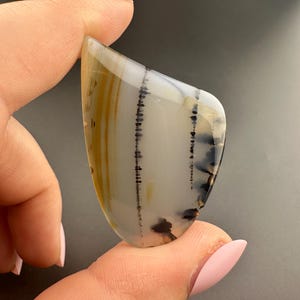 Montana Agate - Freeform Cabochon - Montana