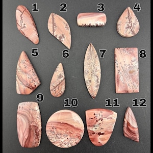 May include: Twelve polished cabochons of pink and brown dendritic jasper, each numbered one through twelve. These stones feature varied shapes including teardrops, rectangles, ovals, and triangles, displaying intricate branching patterns and swirls.