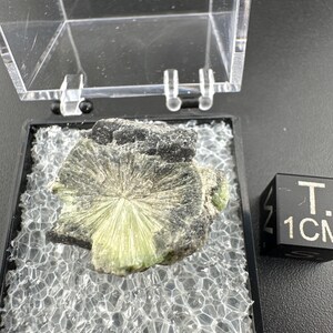 Crandallite, Wavellite - Thumbnail Crystal - Arkansas
