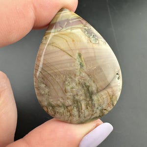Blue Mountain Jasper - Teardrop Cabochon - Oregon