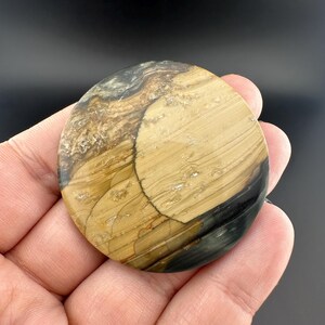 Blue Mountain Jasper - Cabochon - Oregon
