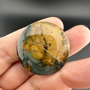Blue Mountain Jasper - Cabochon - Oregon