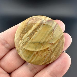Blue Mountain Jasper - Cabochon - Oregon