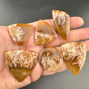 Condor Agate Cabochon Lot: Sagenite from Patagonia, Argentina