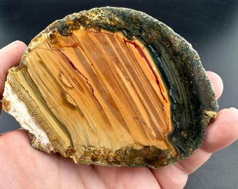 Blue Mountain Jasper - Orbicular - Rough Lapidary Half - Unpolished - McDermitt, Oregon