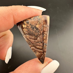 Deschutes Jasper - Triangular Double Sided Cabochon - Deschutes, Oregon