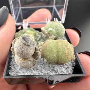 Crandallite, Wavellite - Thumbnail Crystal - Arkansas