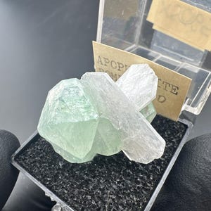 Apophyllite Thumbnail Crystal - Bombay, India