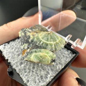 Crandallite, Wavellite - Thumbnail Crystal - Arkansas
