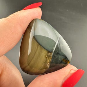 Blue Mountain Jasper - Cabochon - Oregon