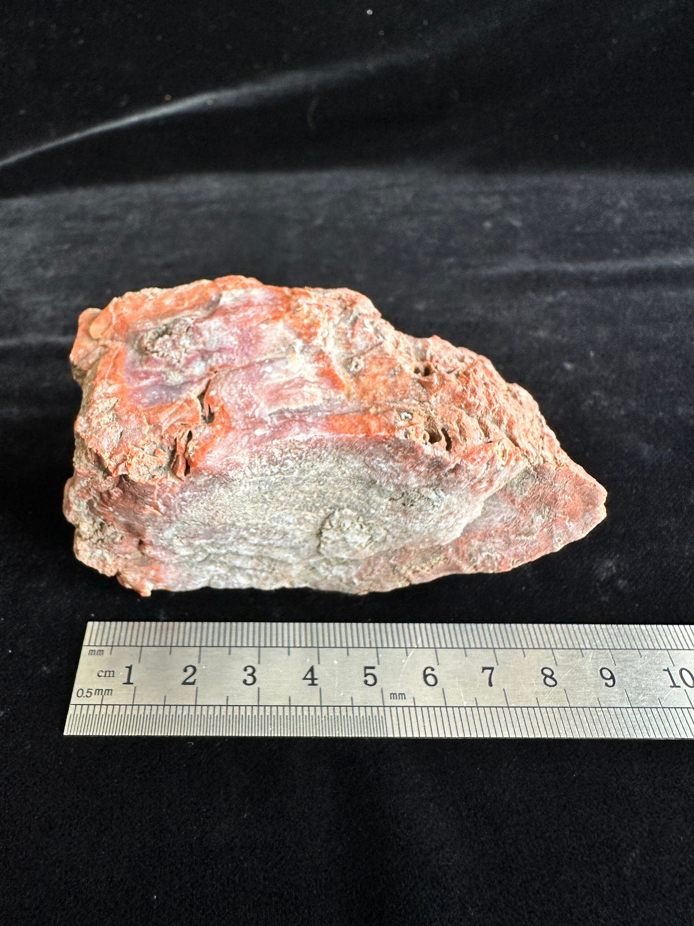Colonial Coral Fossil - Hexagonalarid Replaced by Red Jasper