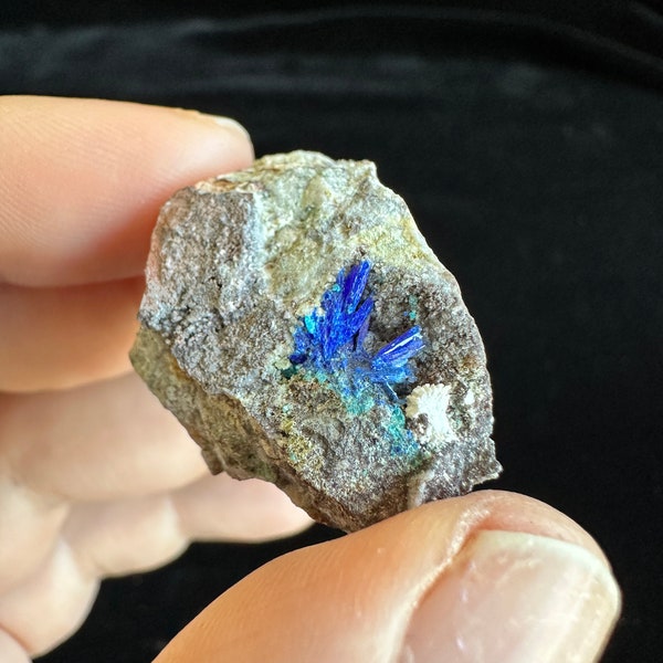 Linarite - Crystal Cluster - Grand Reef Mine - Graham County, Arizona