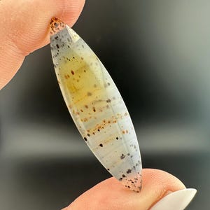 Montana Agate - Freeform Cabochon - Montana