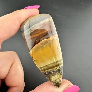 Blue Mountain Jasper - Shield Cabochon - Oregon