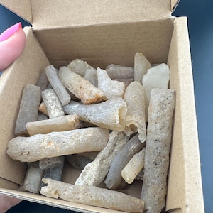 May include: A cardboard box filled with a collection of light-colored, irregularly shaped stones. The stones vary in size and texture, with some appearing smooth and others rough. The box is open, revealing the contents, and is held by a person with pink nail polish.