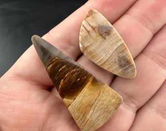 Stinking Water - Golden Oak - Petrified Wood - Lot of 2 Cabochons - Polished - Eastern, Oregon