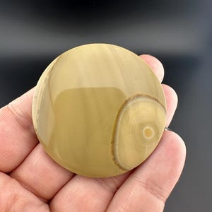 Blue Mountain Jasper - Cabochon - Oregon