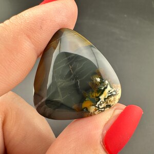 Blue Mountain Jasper - Cabochon - Oregon
