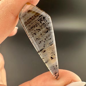 Montana Agate - Freeform Cabochon - Montana