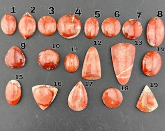 Red Horn Coral - Utah - Cabochon - Sold Individually