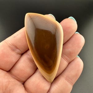 Rim - Bat Cave - Jasper - Freeform Cabochon - Prineville, Oregon