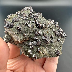 May include: A natural mineral specimen featuring a dark green matrix covered with numerous dark red-brown, crystal formations. The crystals have a sharp, geometric shape, and the overall appearance is rough and textured.