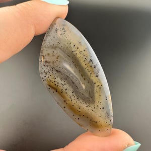 Montana Agate - Freeform Cabochon - Montana