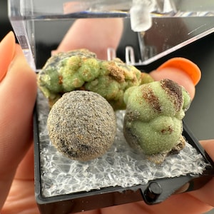 Crandallite, Wavellite - Thumbnail Crystal - Arkansas