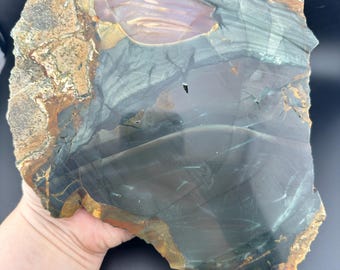 Orbicular Blue Mountain Jasper - Rough Lapidary Slab - Unpolished - McDermitt, Oregon