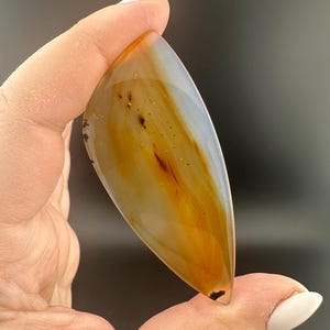 Montana Agate - Freeform Cabochon - Montana