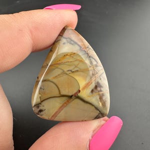 Morrisonite Designer Jasper Freeform Cabochon - Owyhee Canyon in Eastern Oregon