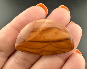 Bruneau Jasper - Freeform Cabochon - Idaho