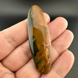 Blue Mountain Jasper - Cabochon - Oregon