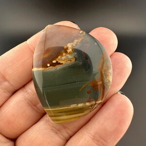 Blue Mountain Jasper - Cabochon - Oregon