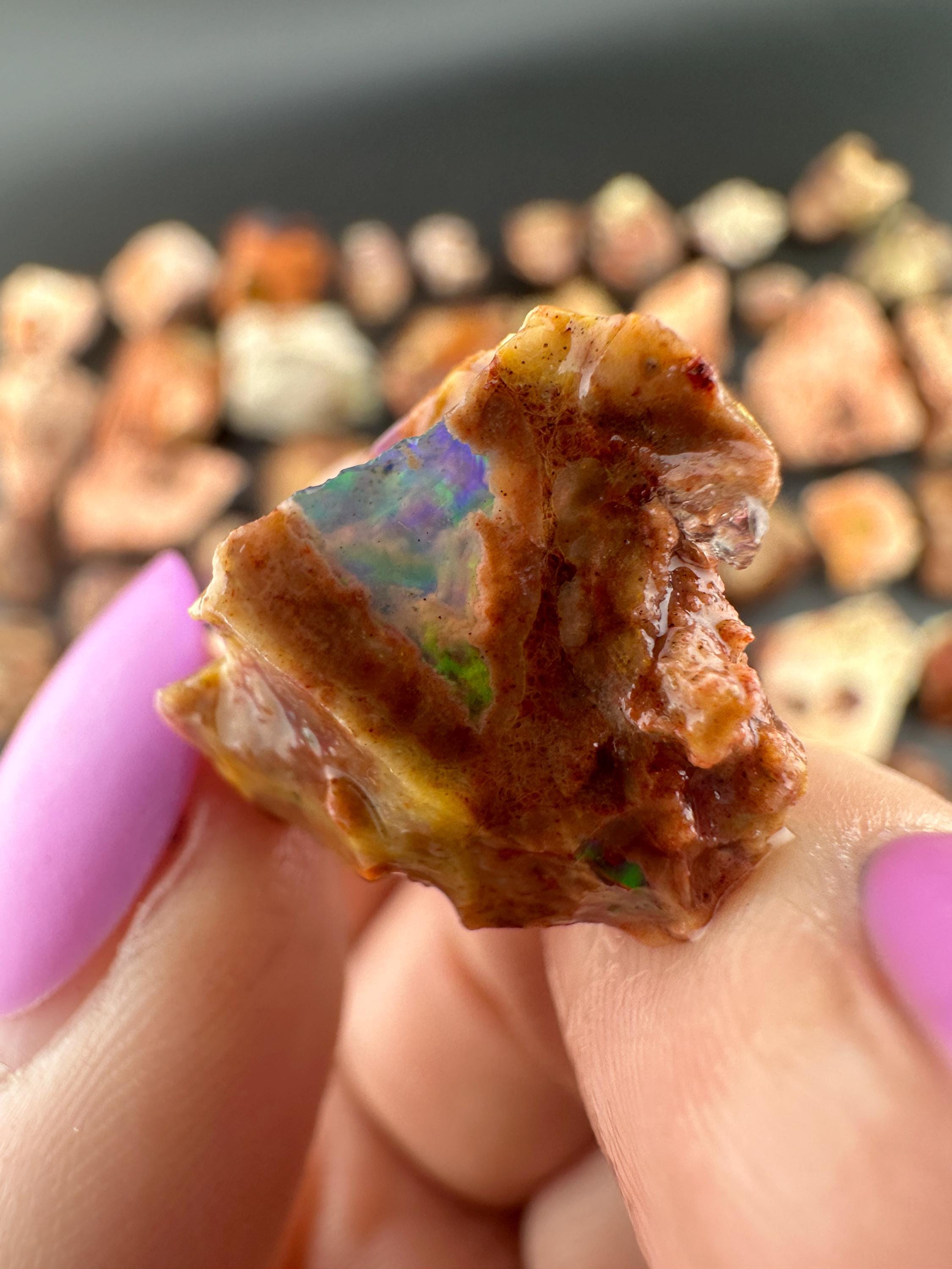 Mexican Jelly Opal - Etsy