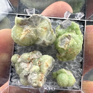 Crandallite, Wavellite - Thumbnail Crystal - Arkansas