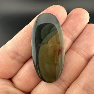 Blue Mountain Jasper - Cabochon - Oregon