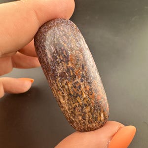 Dinosaur Gem Bone - Polished Cabochon